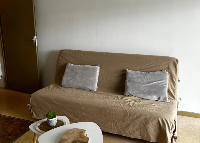 Lary Soulan Pla D Adet Pied Des Pistes Capacite 5pers * Saint-Lary-Soulan